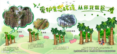 保護(hù)樹木，愛護(hù)樹木(保護(hù)樹木，愛護(hù)樹木)