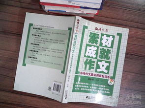 成功后的經歷作文600字作文開頭