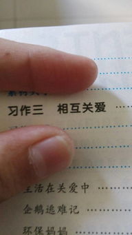 六級(jí)關(guān)于關(guān)愛的好作文的開頭