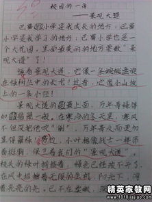 觸摸記敘作文開頭