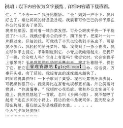關(guān)于一次有趣的嘗試的作文開頭