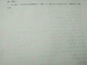 運(yùn)動(dòng)場(chǎng)上的溫暖回憶作文的開頭