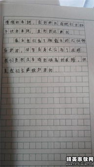 運動會難忘的一天作文開頭結(jié)尾