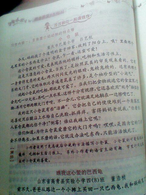 四級(jí)寫動(dòng)物作文開頭結(jié)尾怎么寫