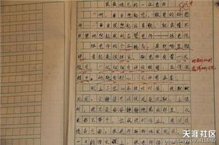 小學五級作文父母的愛開頭.