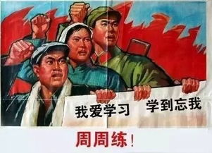 目光500作文開頭結(jié)尾