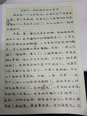 保護森林草原的作文開頭