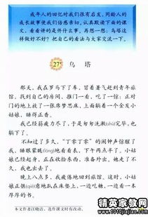 關于小學調(diào)查報告范文(小學關于近視調(diào)查報告)