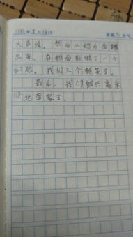 我的發(fā)現(xiàn)的作文的開(kāi)頭怎么寫