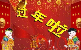 除夕春節(jié)感悟作文的開(kāi)頭