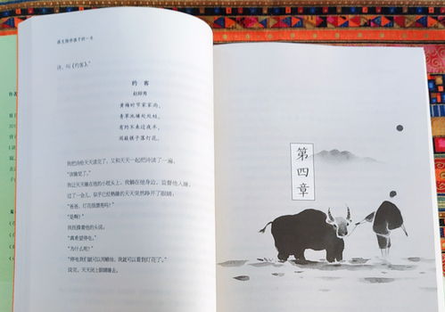 感受詩詞之美作文800字,感受詩詞之美作文小標題,感受詩詞的美好作文