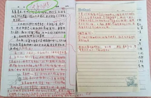 懷疑的甜頭作文開頭