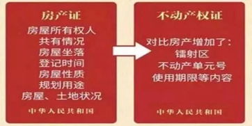 不動產(chǎn)權號是幾位數(shù)編號(不動產(chǎn)權編號是幾位數(shù))