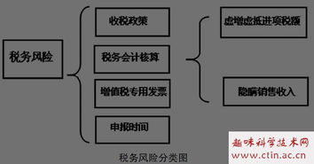 稅務(wù)風(fēng)險風(fēng)險管理專業(yè)論文范文()