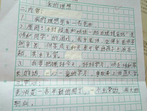 關(guān)于老師的夢(mèng)想的600字作文開(kāi)頭