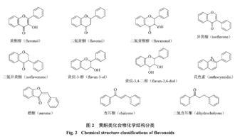黃酮類化合物的提取與分離方法綜述論文(Vsp記錄的波場(chǎng)分離方法綜述)