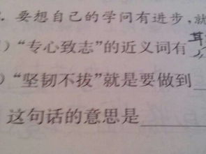 堅(jiān)韌不拔的作文開頭怎么寫