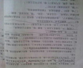 歷史從未遠(yuǎn)去作文開頭