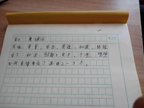 高中關(guān)于努力夢想的作文開頭結(jié)尾