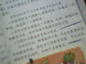 有關父母愛的作文的開頭