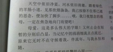 感恩母親的作文排比句開頭
