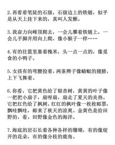 四級作文比喻式開頭結(jié)尾