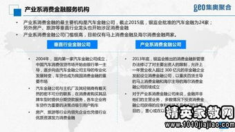 金融租賃公司項(xiàng)目調(diào)查報(bào)告范文(金融租賃公司典型項(xiàng)目調(diào)查報(bào)告)