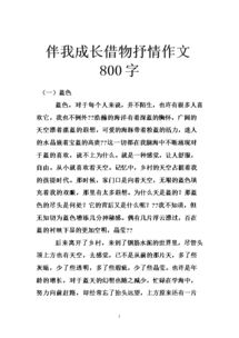 完美與缺憾作文借物起興式開頭