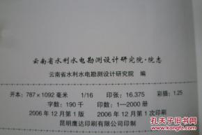 水利水電設計研究院項目經理述職報告范文(設計研究院實習心得)