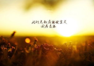 關(guān)于工作的勵志語錄(關(guān)于工作的勵志語錄)