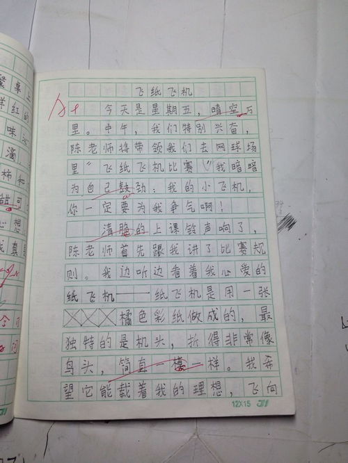 描寫(xiě)最難忘的一件事作文開(kāi)頭