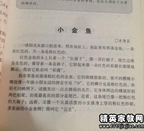初中生活的趣事作文開頭,生活趣事作文開頭結(jié)尾,生活趣事作文500字左右
