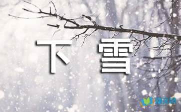 下雪了作文優(yōu)美開頭