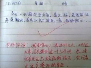作文《?！烽_頭引用的是詩句