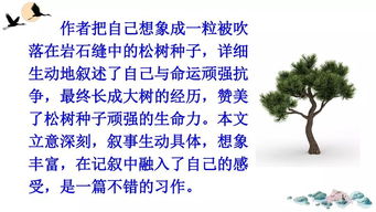 變形記的作文六年級(jí)開頭結(jié)尾,變形記作文小學(xué)六年級(jí)開頭結(jié)尾,變形記作文六年級(jí)路燈