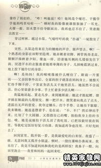 運動會給我的鼓勵作文開頭結尾