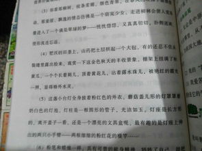 作文摘抄開頭40字左右