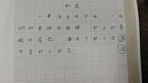 關(guān)于上課的作文開頭