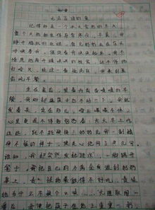 拾起的母愛的點滴作文開頭