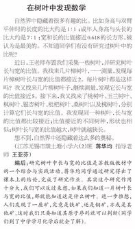 時(shí)間數(shù)學(xué)作文開(kāi)頭