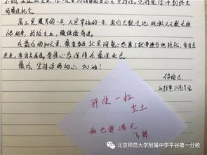 以夢(mèng)為馬不負(fù)韶華的作文開頭句