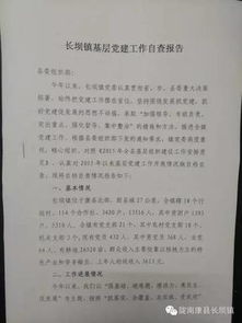 關(guān)于三送工作開展情況的自查報告(關(guān)于政務(wù)公開工作開展情況匯報)