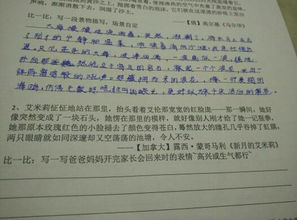 海洋保護作文開頭