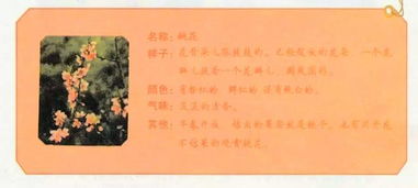 觀察事物作文的開(kāi)頭怎么