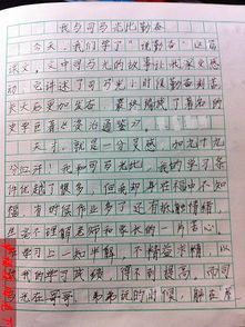 心愿目標(biāo)努力作文開頭