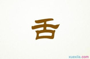 風的聲音作文開頭和結尾