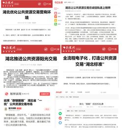 政務(wù)公開政務(wù)服務(wù)工作調(diào)研報告(人事政務(wù)公開調(diào)研報告)