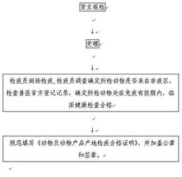 產(chǎn)地檢疫情況調(diào)查報(bào)告(產(chǎn)地檢疫情況調(diào)查報(bào)告模板)