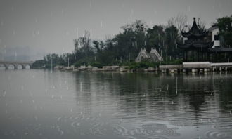 雨中場(chǎng)景作文開(kāi)頭