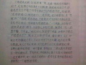 我的新老師同學學校作文開頭結尾